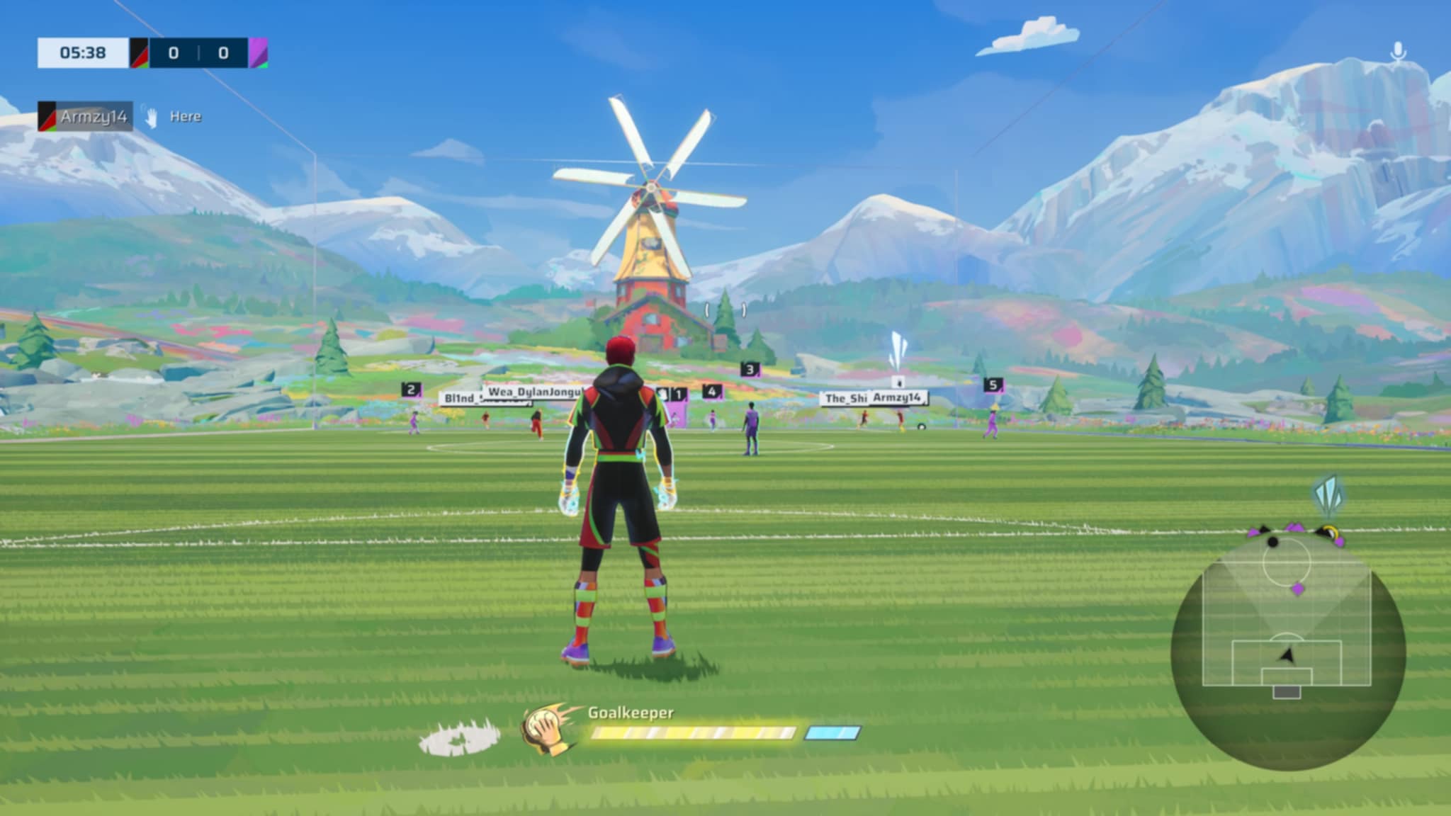 Goalkeeper view